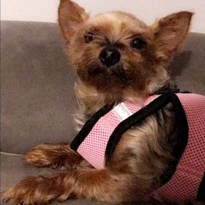 Meet your Posher, Catalina